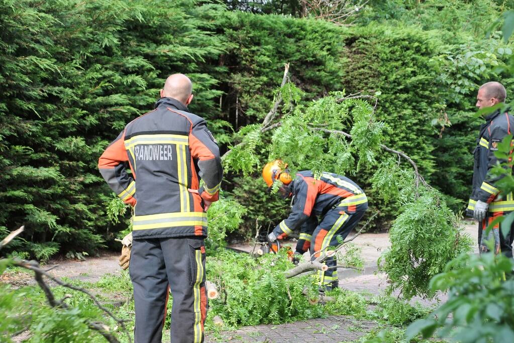 Gevaarlijk hangende tak verwijderd