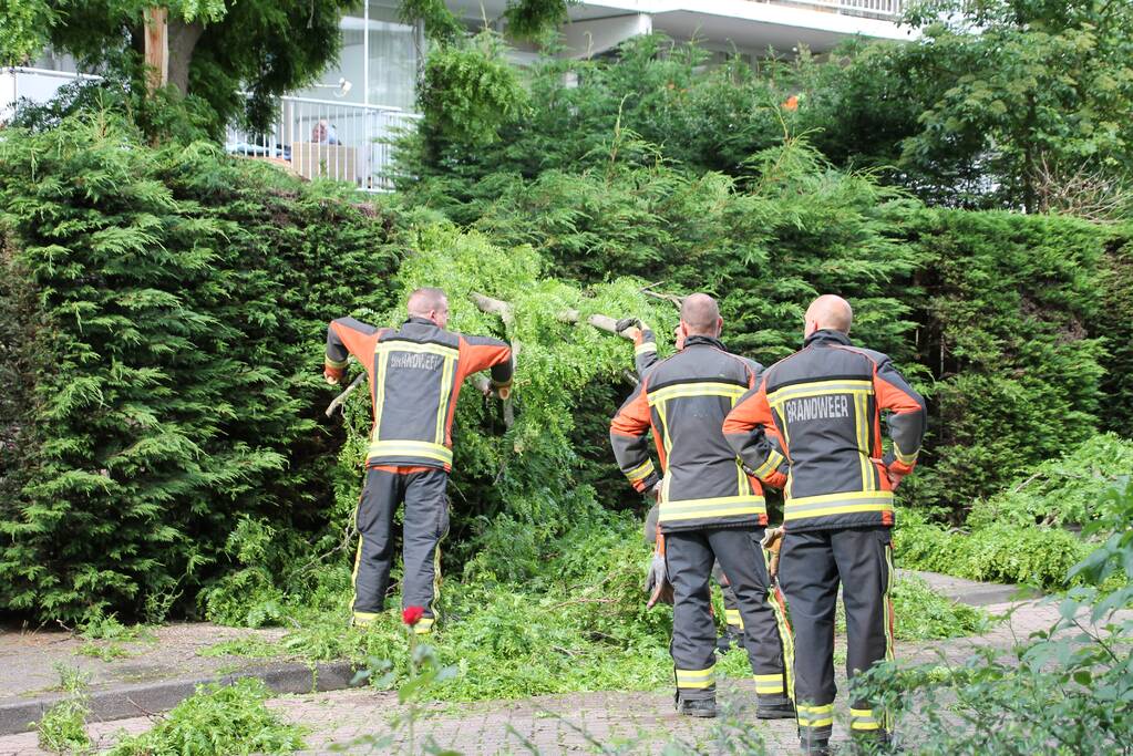 Gevaarlijk hangende tak verwijderd