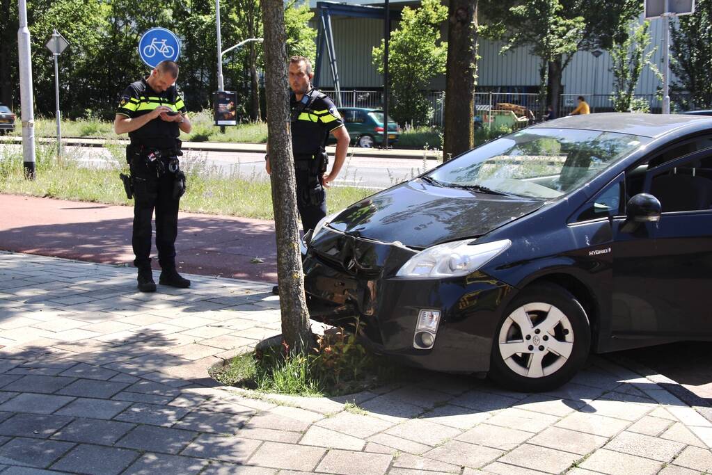 Automobilist botst tegen boom na uitwijkmanoeuvre