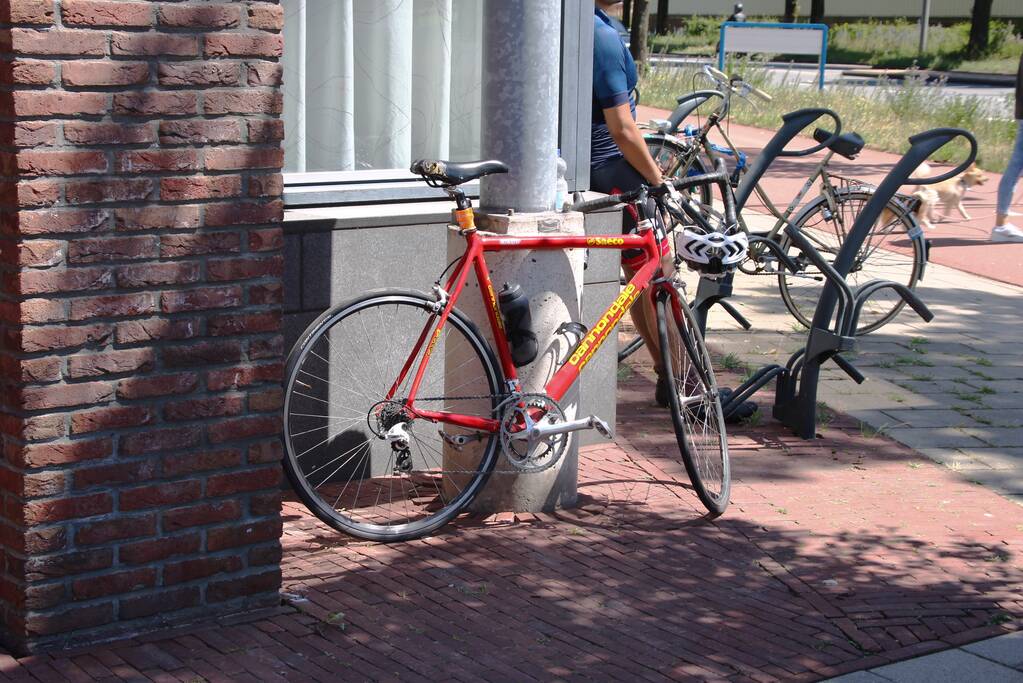 Automobilist botst tegen boom na uitwijkmanoeuvre