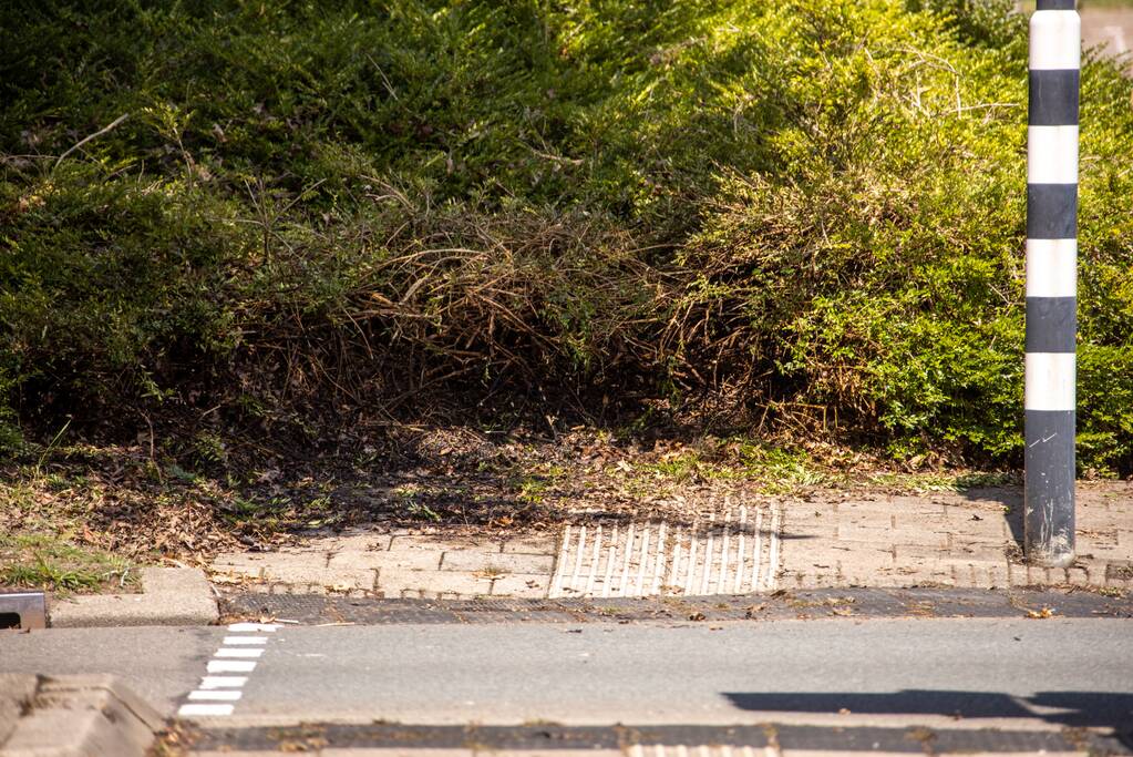Struiken in brand op bedrijventerrein De Hoef