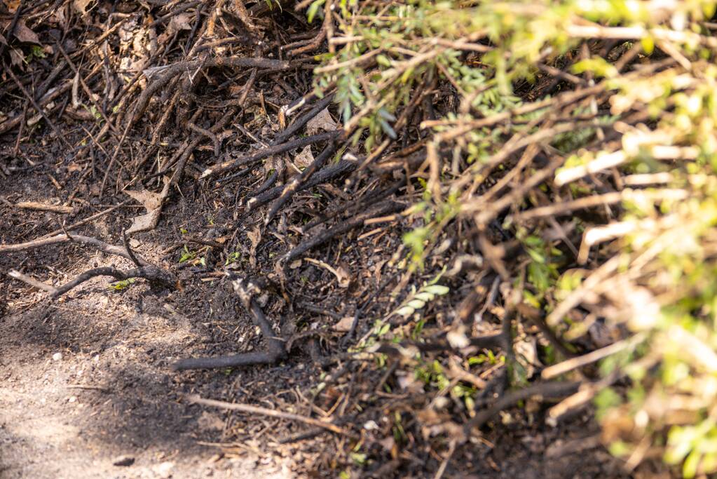 Struiken in brand op bedrijventerrein De Hoef