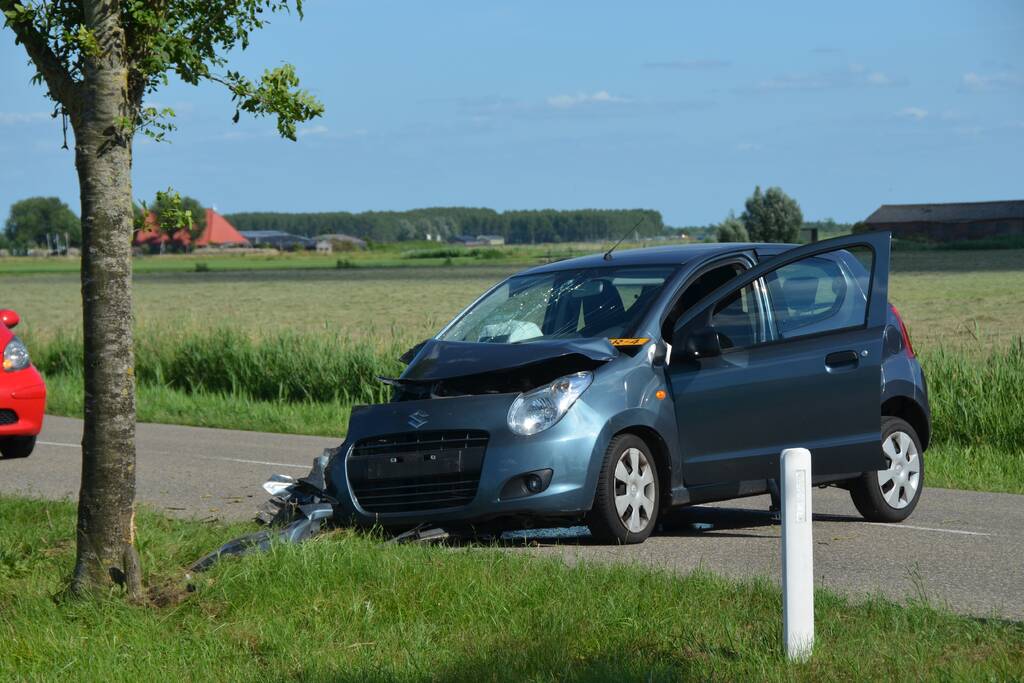 Automobilist botst tegen boom