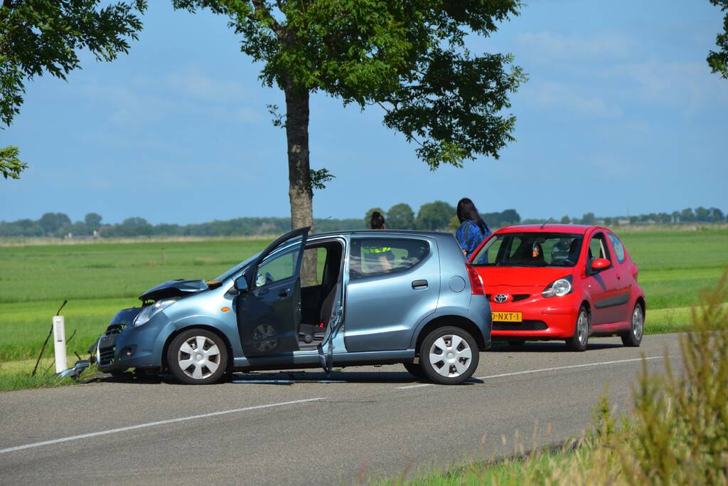 Automobilist botst tegen boom