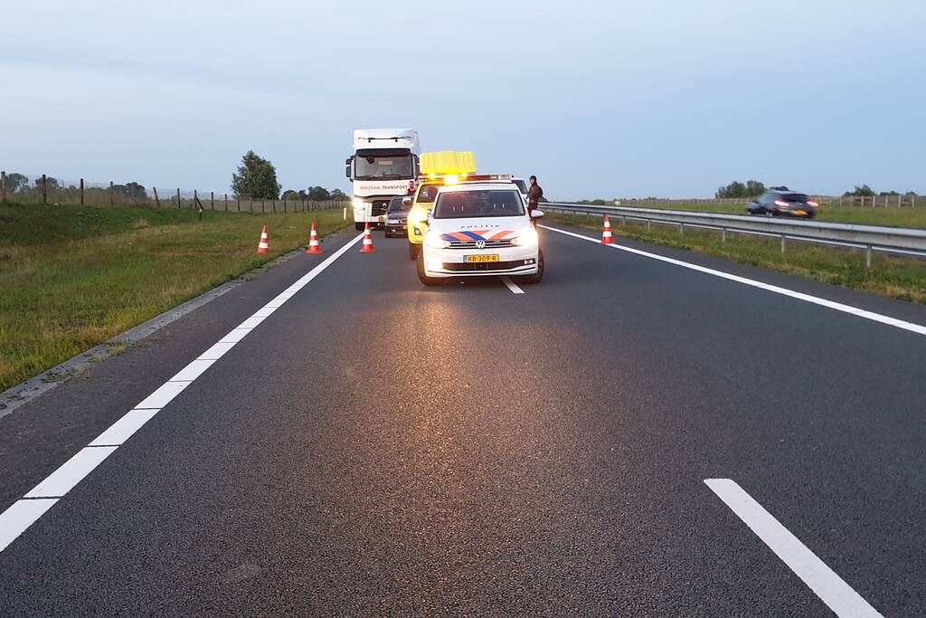 Weg dicht na losgebroken paarden