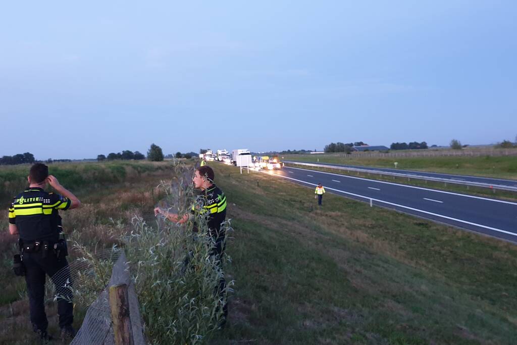 Weg dicht na losgebroken paarden