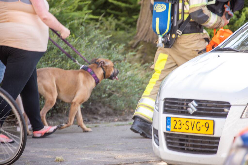 Flinke brand in flatwoning