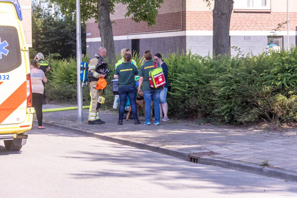 Flinke brand in flatwoning