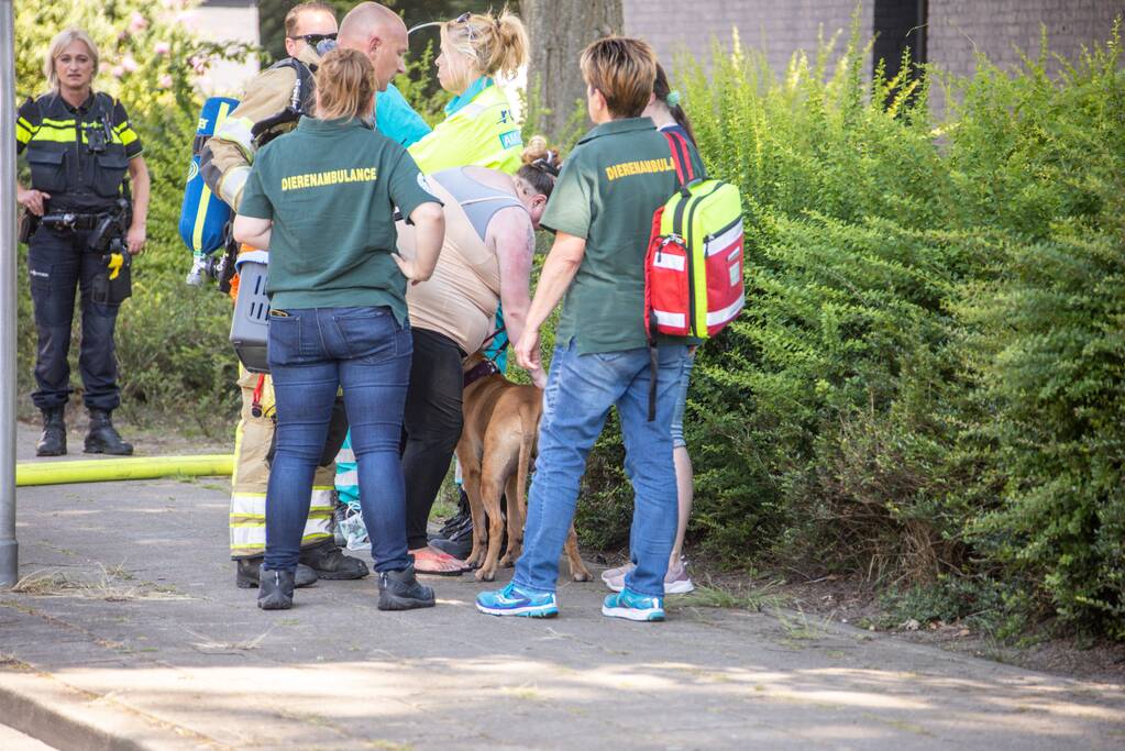 Flinke brand in flatwoning