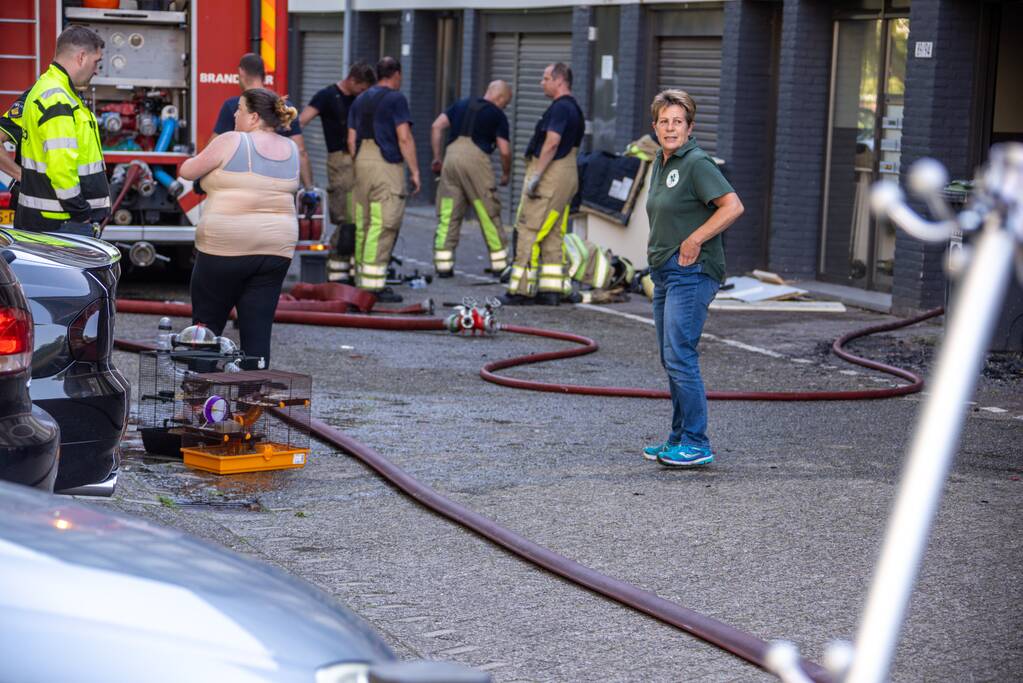 Flinke brand in flatwoning