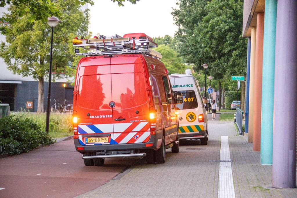 Gans met gebroken vleugel gered in Nieuwland