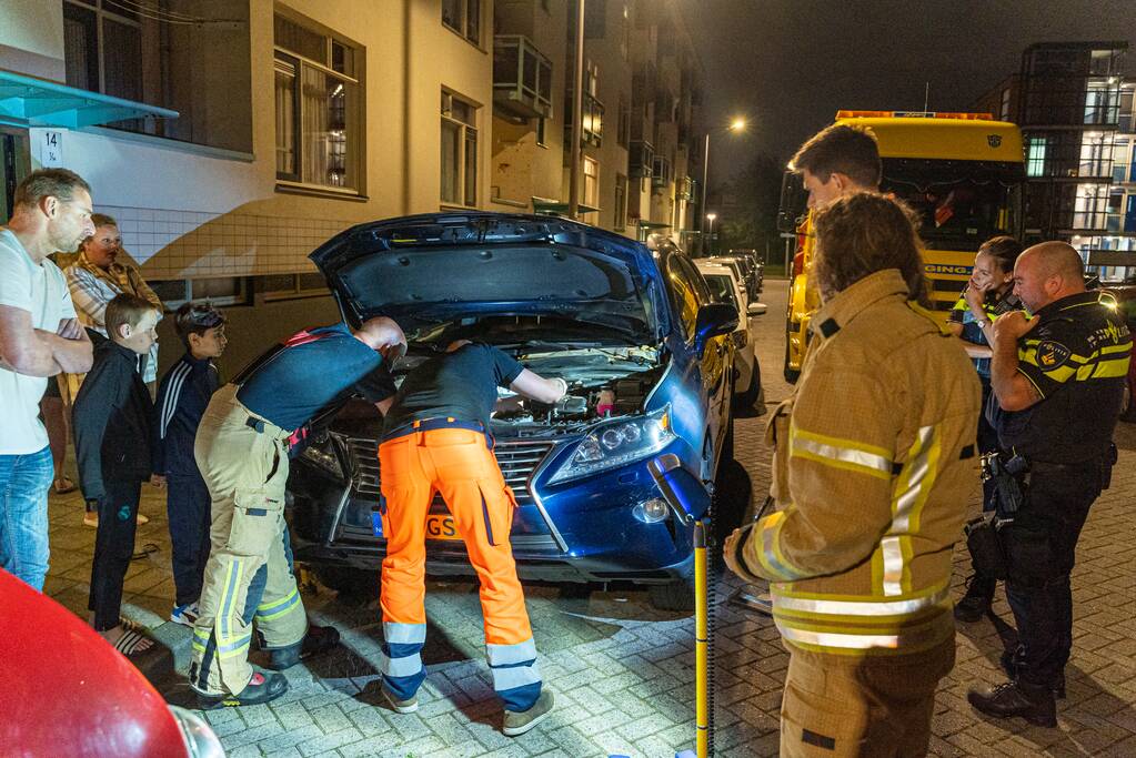 Poes Luna houdt brandweermannen en berger uren zoet met auto