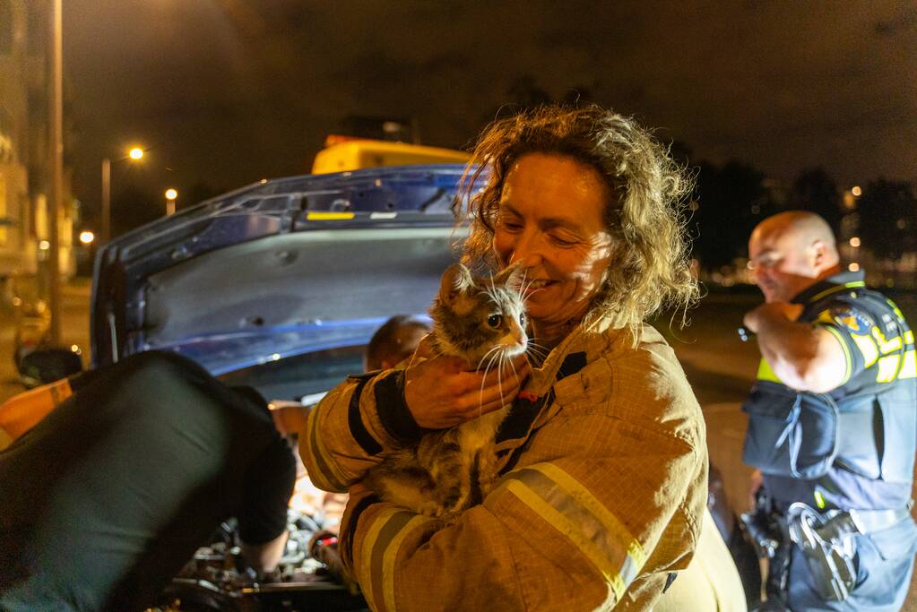Poes Luna houdt brandweermannen en berger uren zoet met auto