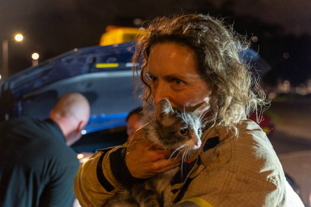 Poes Luna houdt brandweermannen en berger uren zoet met auto