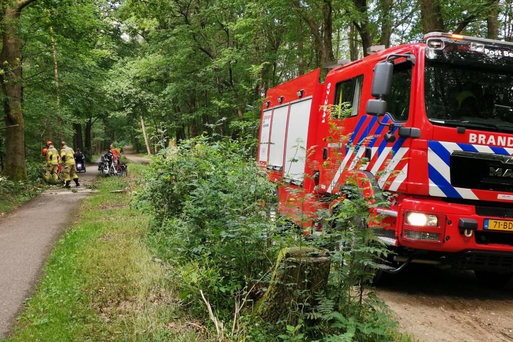 Enorme tak van eikenboom met eikenprocessierups breekt af en valt op fietspad