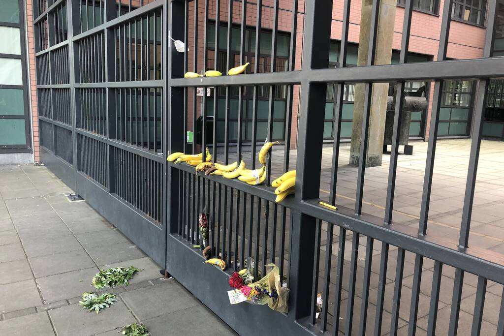 Bananen neergelegd bij Rechtbank Noord-Nederland