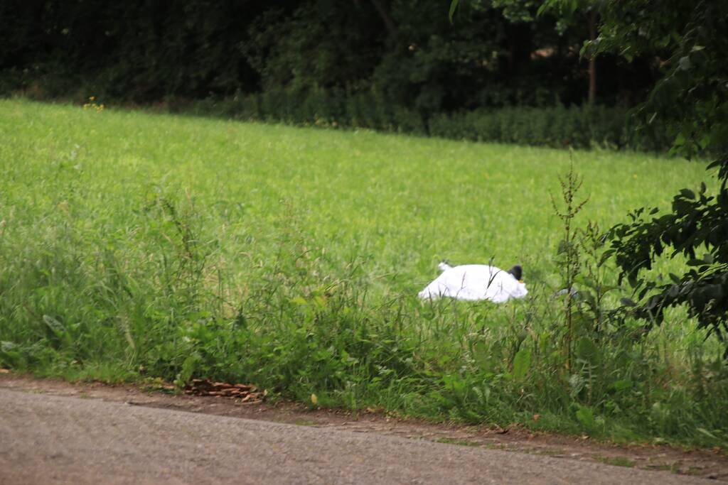 Ruiter overleden na val van paard