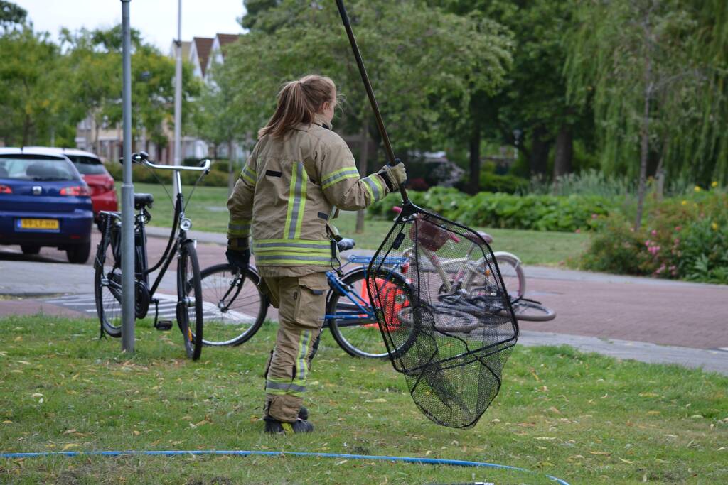 Brandweer redt eendenfamilie