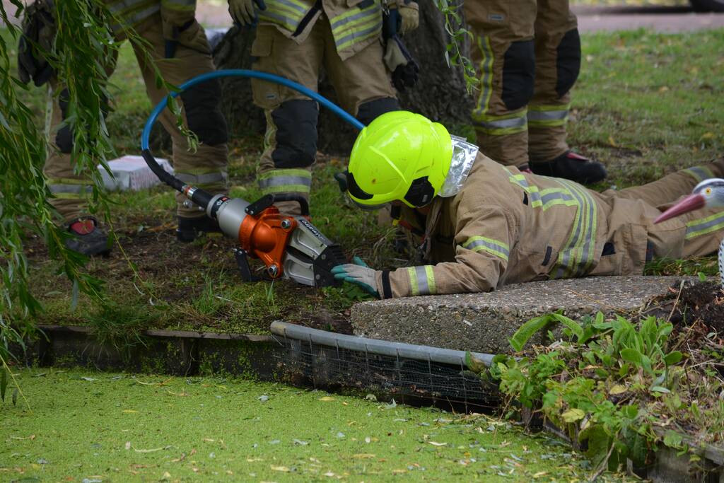 Brandweer redt eendenfamilie