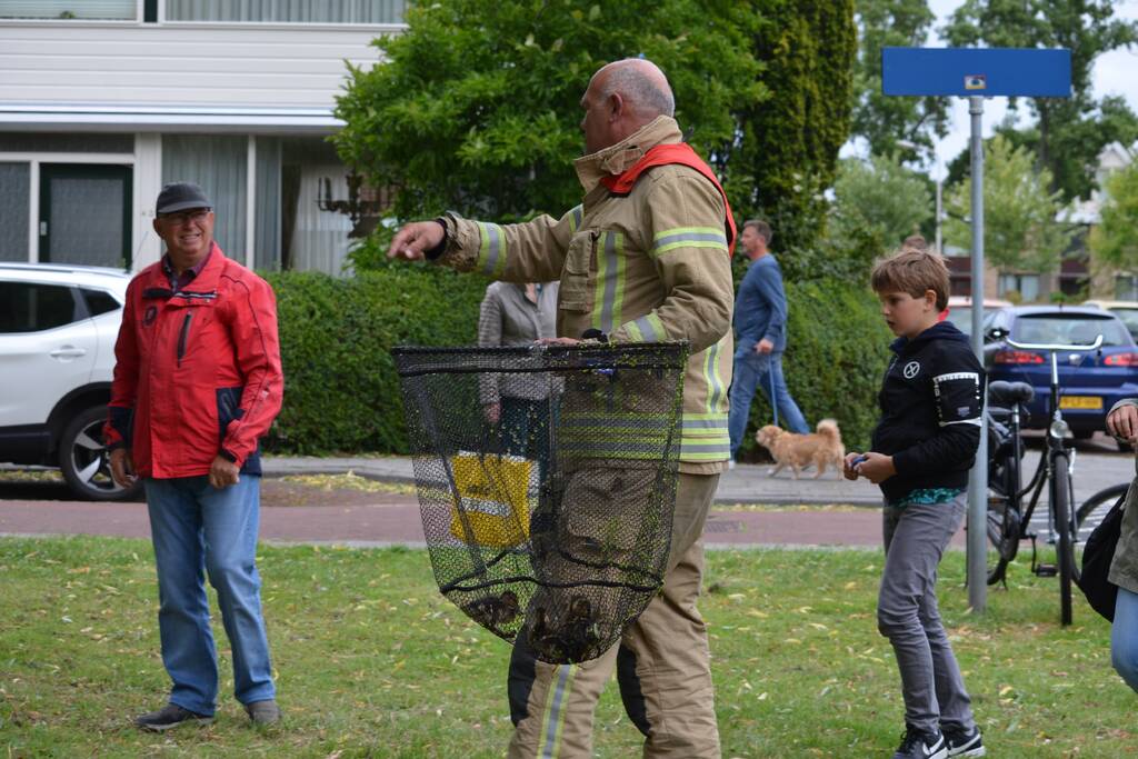 Brandweer redt eendenfamilie