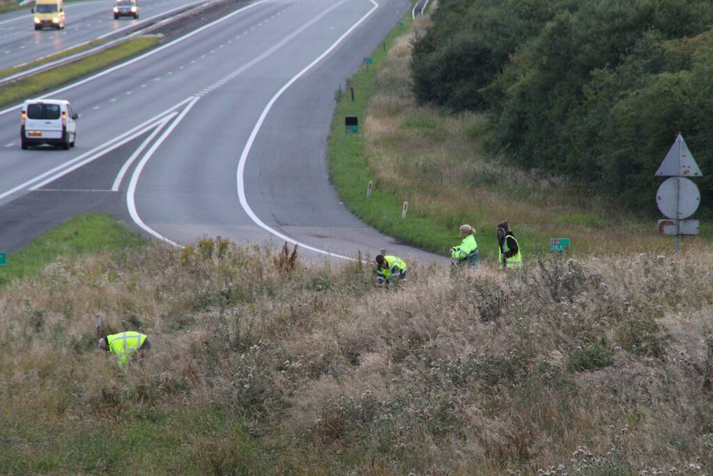 Grote zoekactie naar onder auto vandaan gevallen kitten