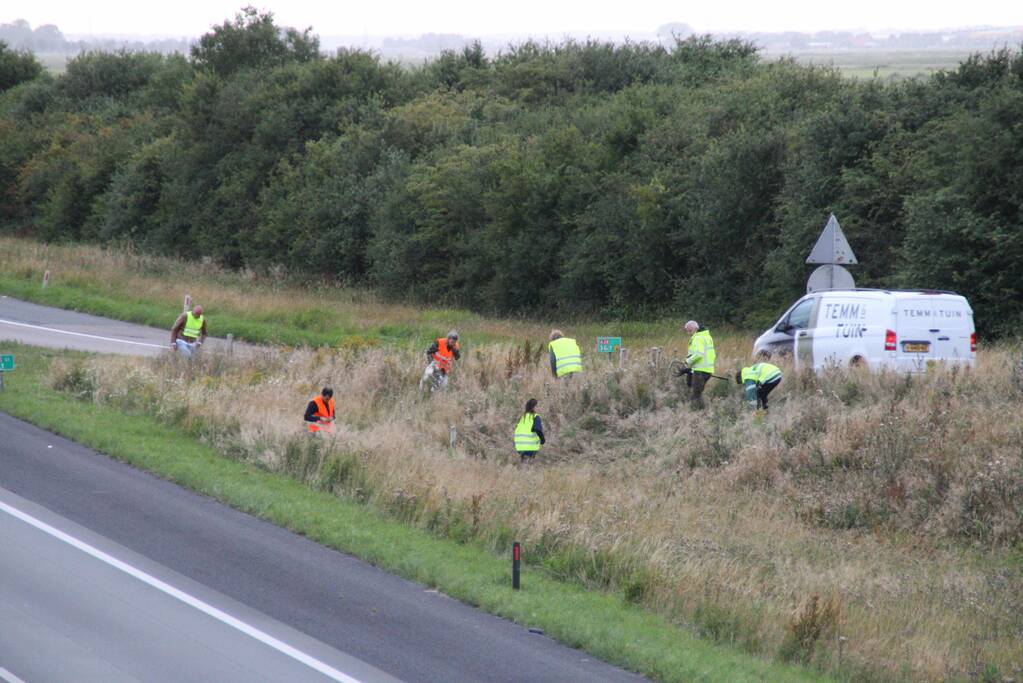 Grote zoekactie naar onder auto vandaan gevallen kitten