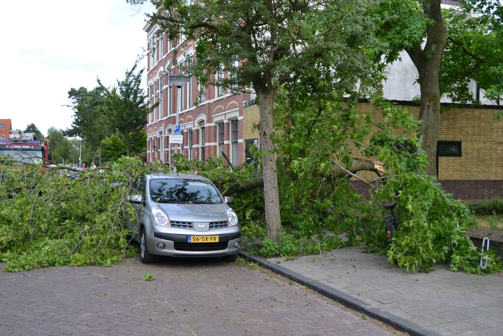 Boom breekt af en valt tegen achterkant van auto