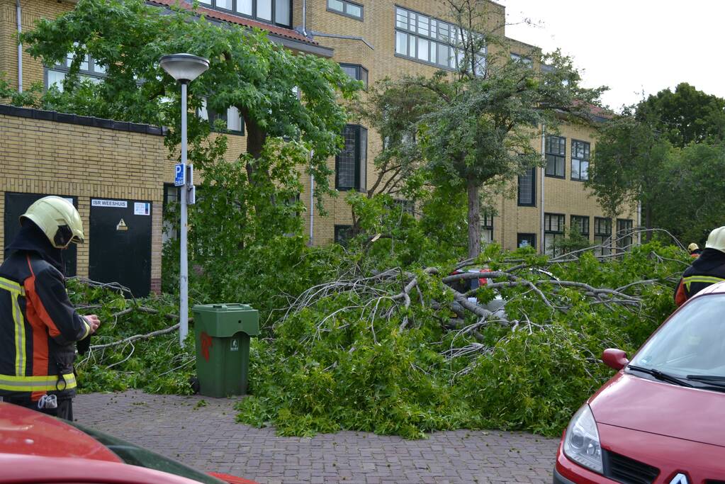 Boom breekt af en valt tegen achterkant van auto