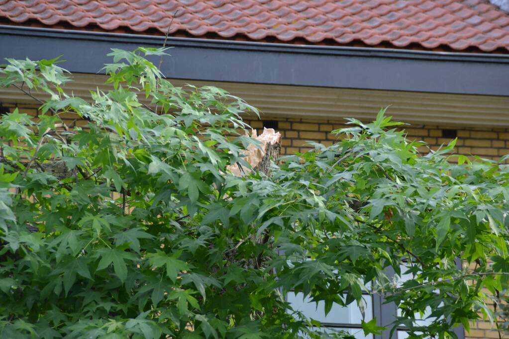 Boom breekt af en valt tegen achterkant van auto