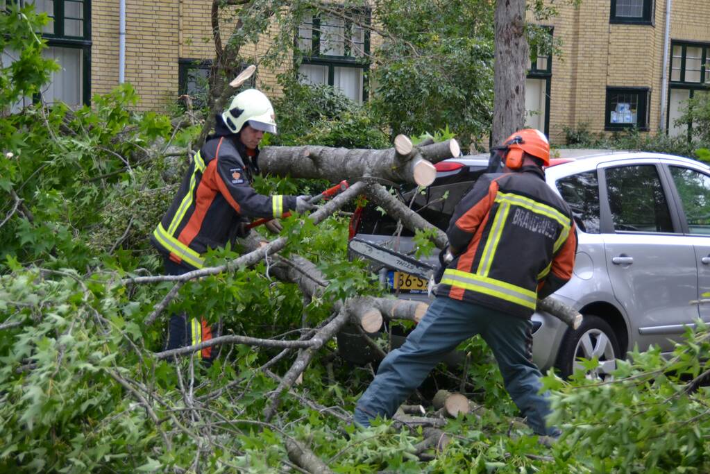 Boom breekt af en valt tegen achterkant van auto