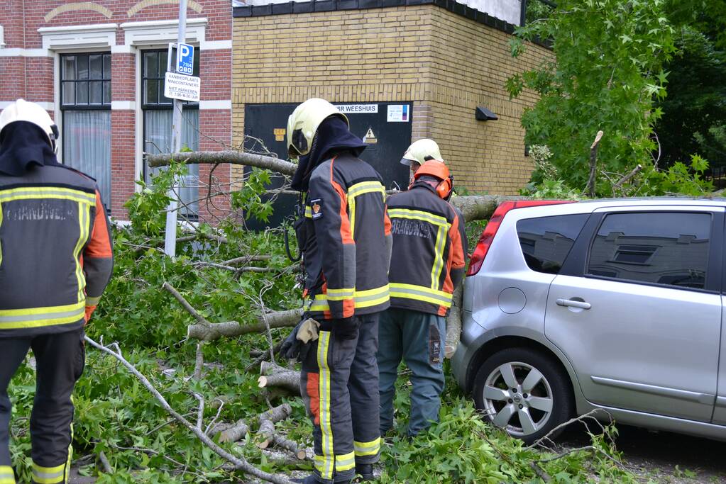 Boom breekt af en valt tegen achterkant van auto