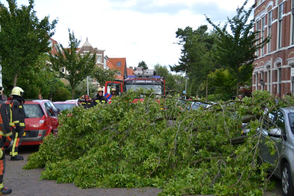 Boom breekt af en valt tegen achterkant van auto