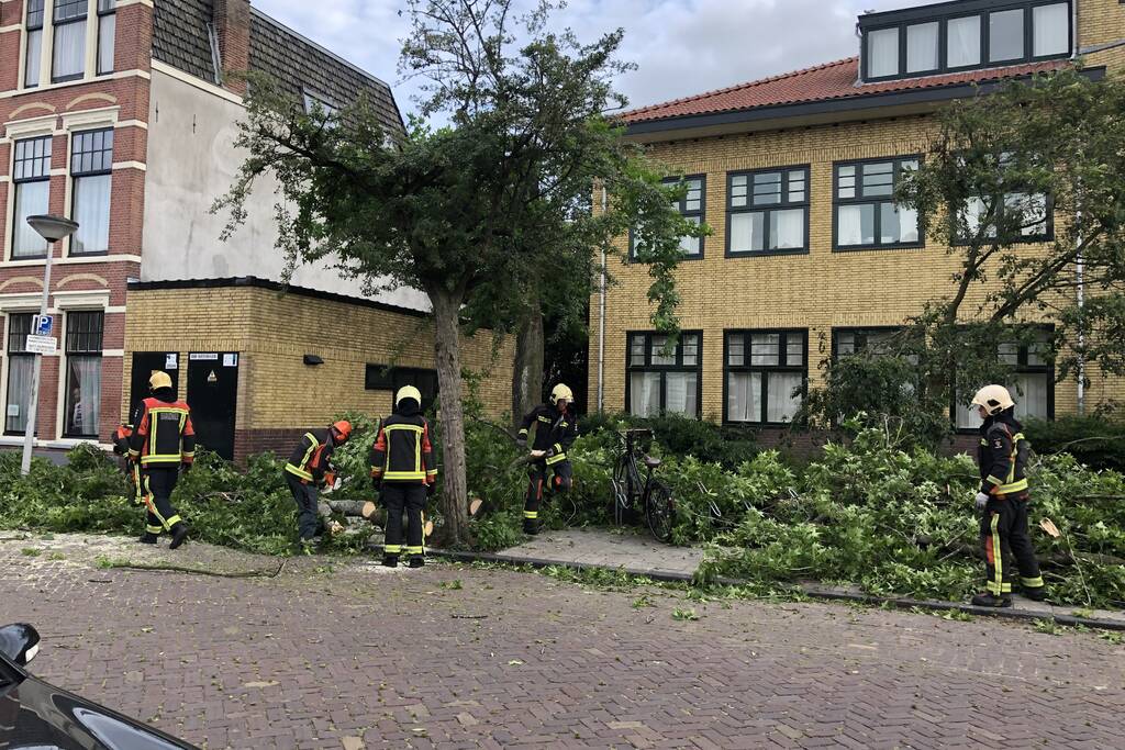 Boom breekt af en valt tegen achterkant van auto