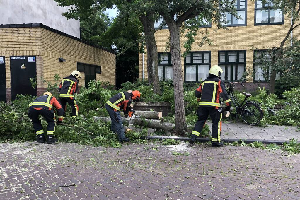 Boom breekt af en valt tegen achterkant van auto
