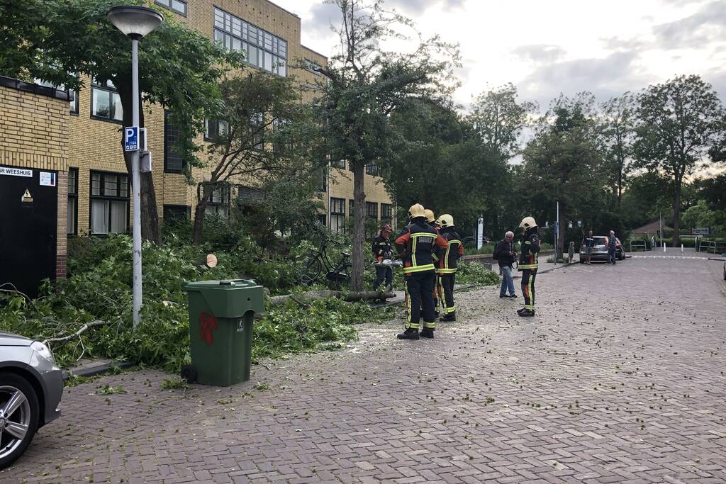 Boom breekt af en valt tegen achterkant van auto