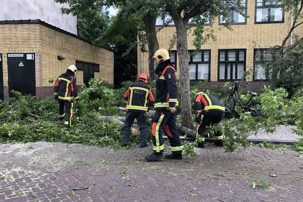 Boom breekt af en valt tegen achterkant van auto