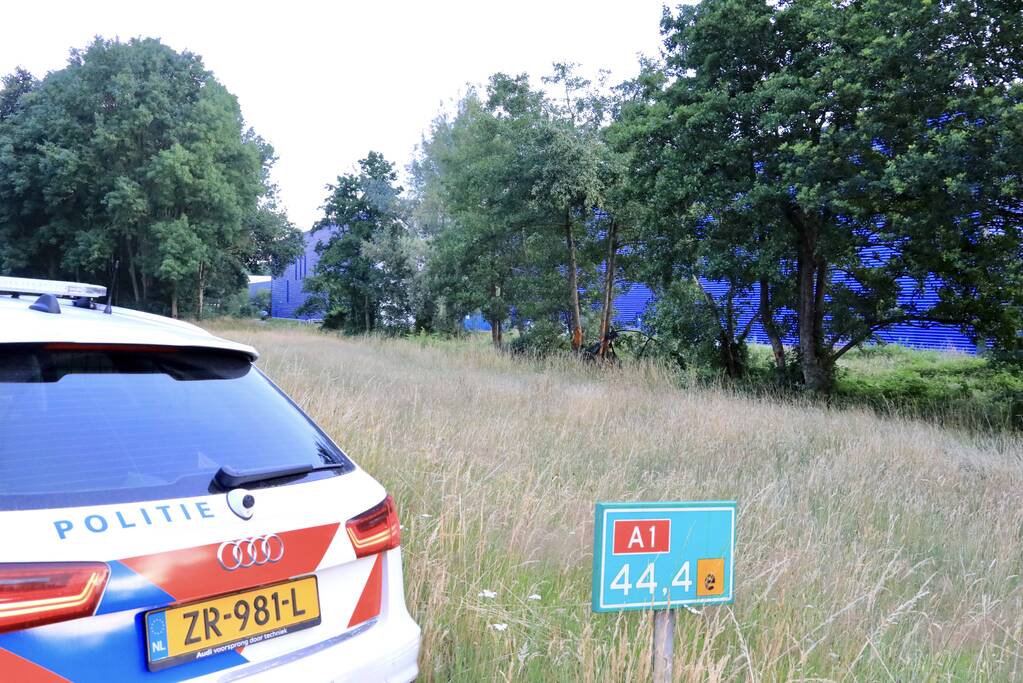 Auto crasht tussen bomen door