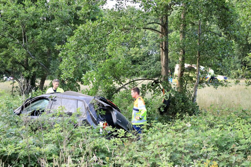 Auto crasht tussen bomen door