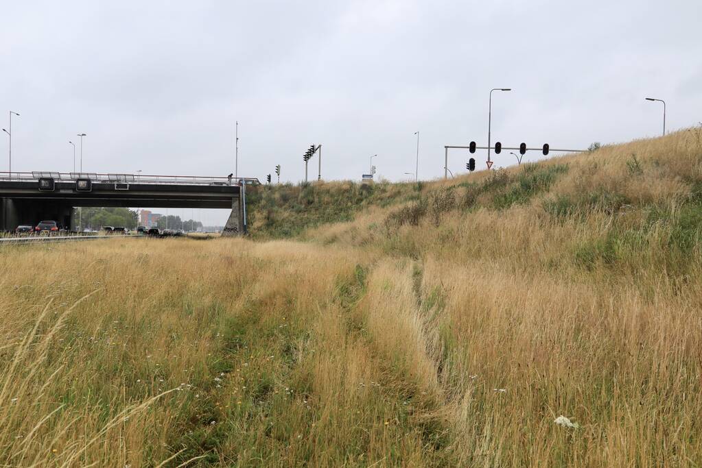 Gezin belandt met auto in de berm