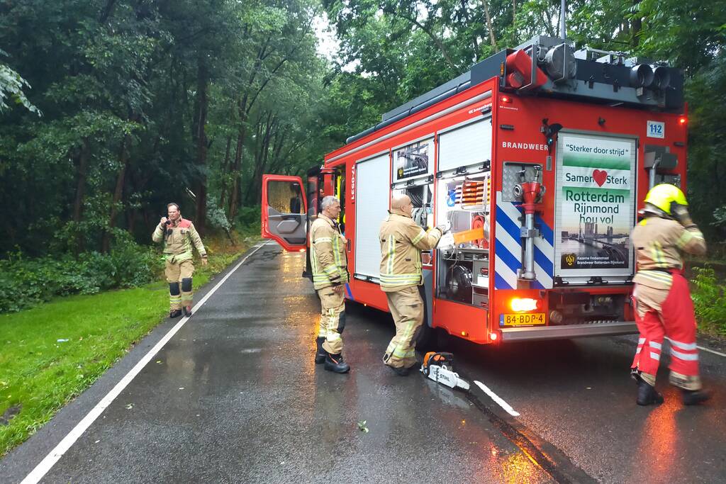 Omgewaaide boom verspert weg