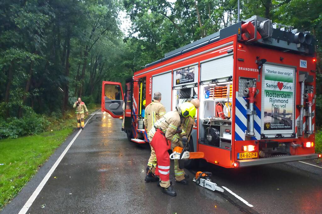 Omgewaaide boom verspert weg
