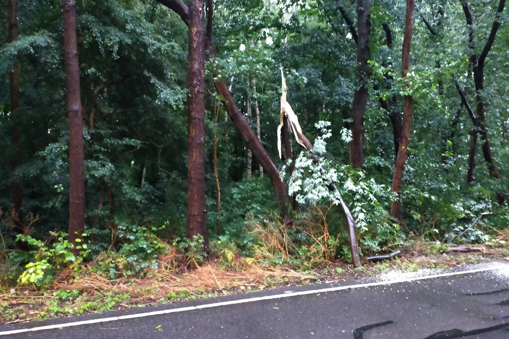 Omgewaaide boom verspert weg