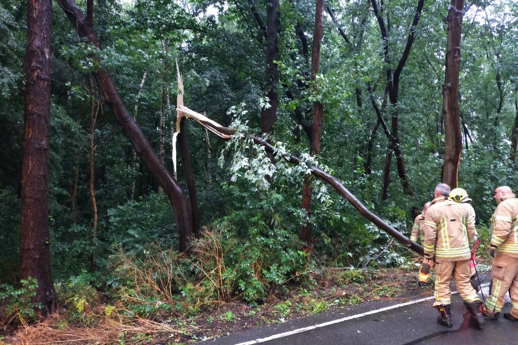 Omgewaaide boom verspert weg