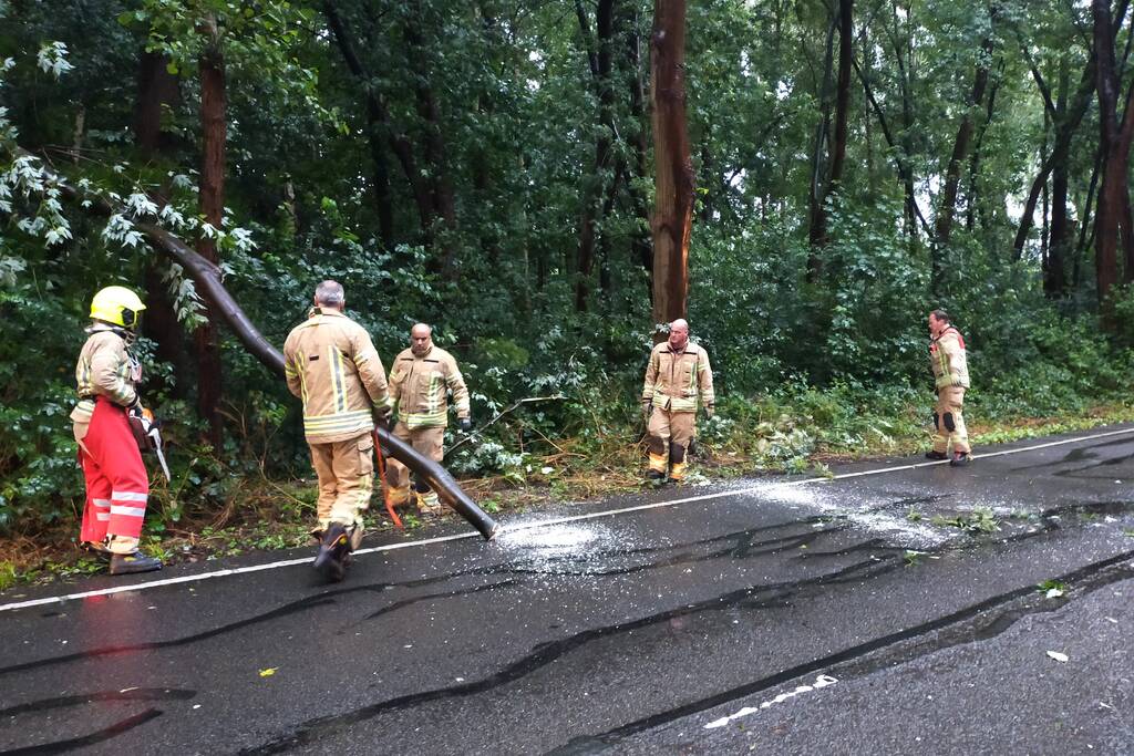 Omgewaaide boom verspert weg