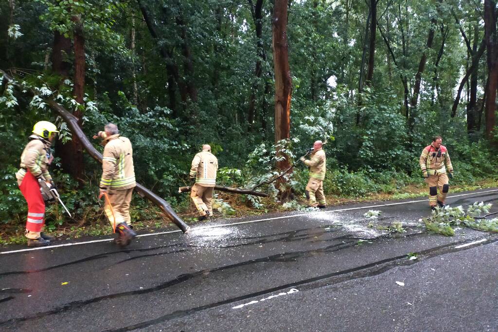 Omgewaaide boom verspert weg