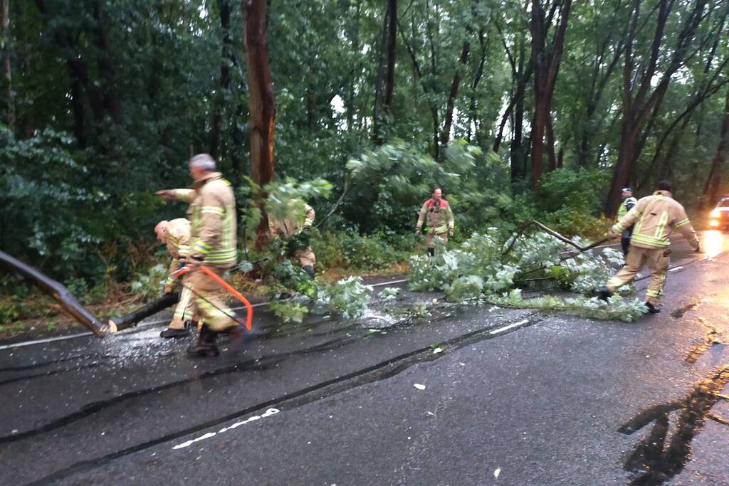 Omgewaaide boom verspert weg