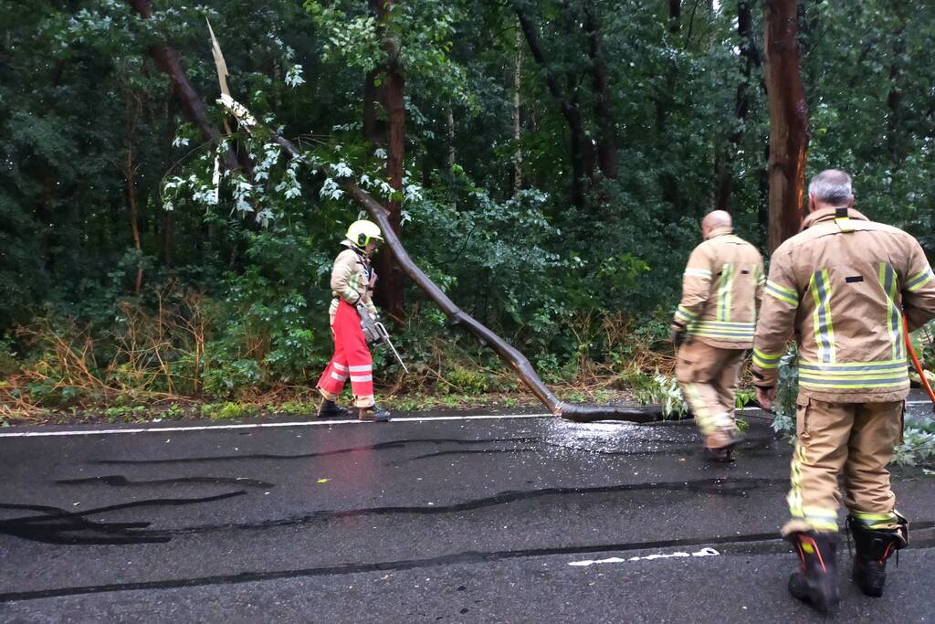 Omgewaaide boom verspert weg