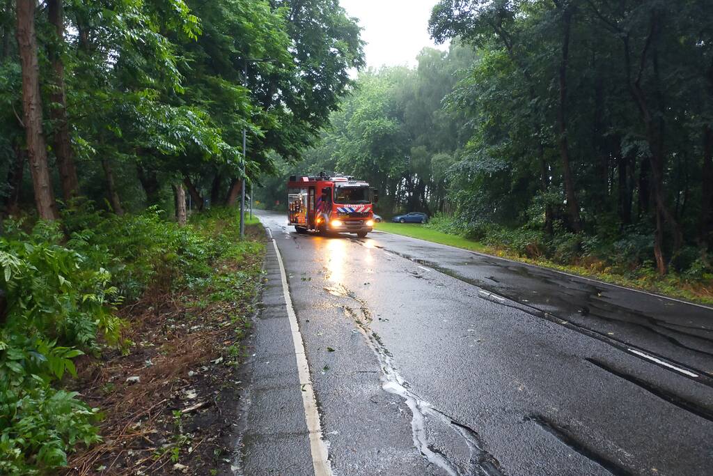 Omgewaaide boom verspert weg