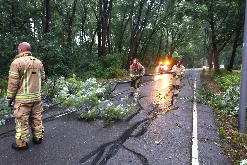 Omgewaaide boom verspert weg