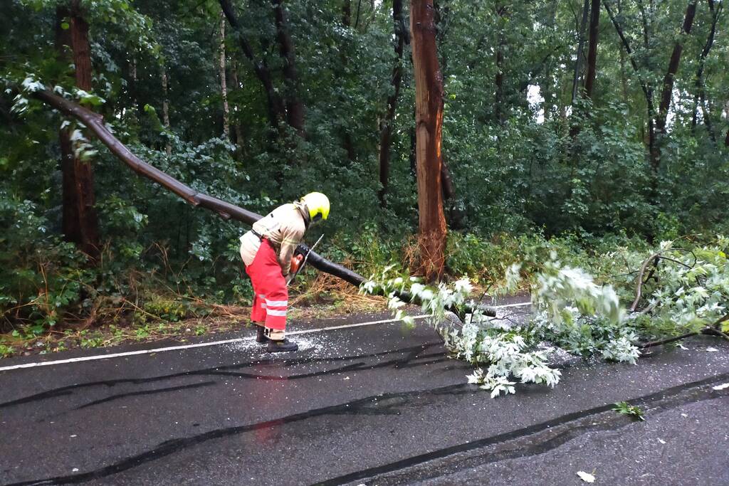 Omgewaaide boom verspert weg
